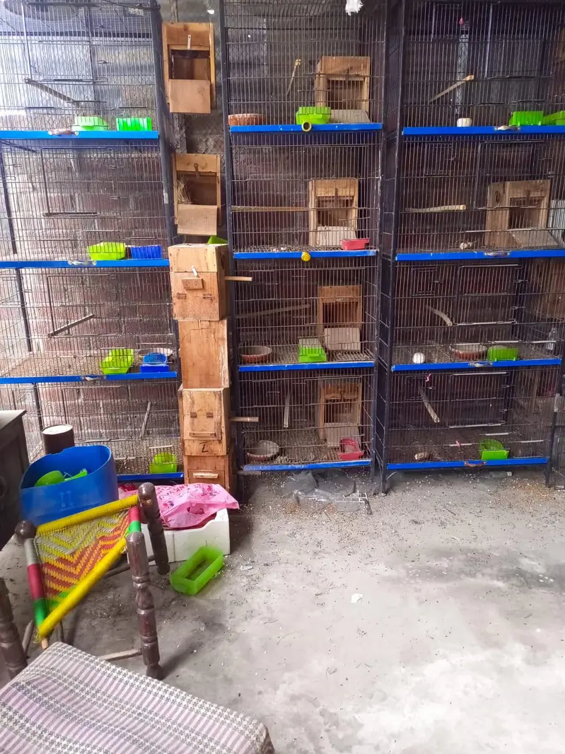 cages for sale — photo 3