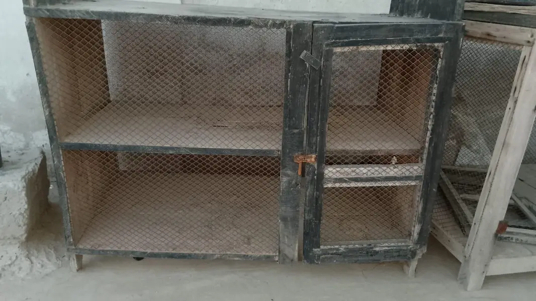 hen cage for sale — photo 6