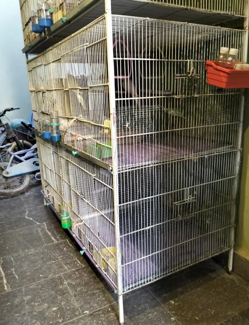 Cage (Pinjra) — photo 2