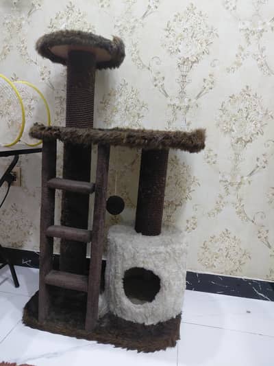 CAT HOUSE