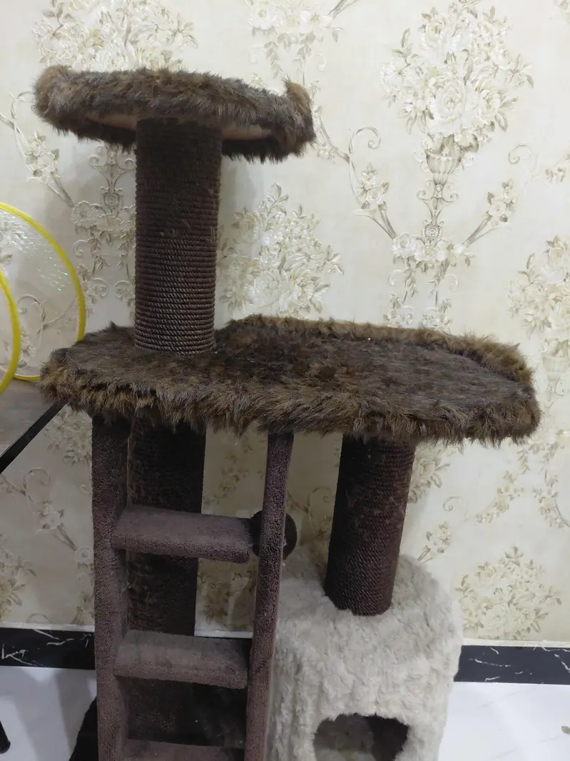CAT HOUSE — photo 2