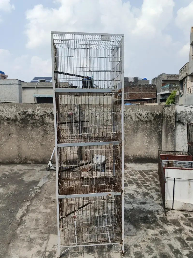 Cages for sale — photo 3