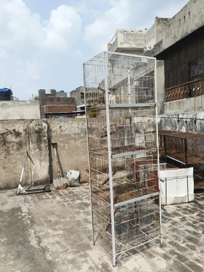 Cages for sale — photo 4