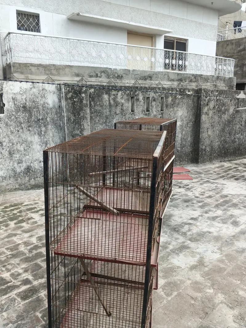 Cages for sale — photo 10