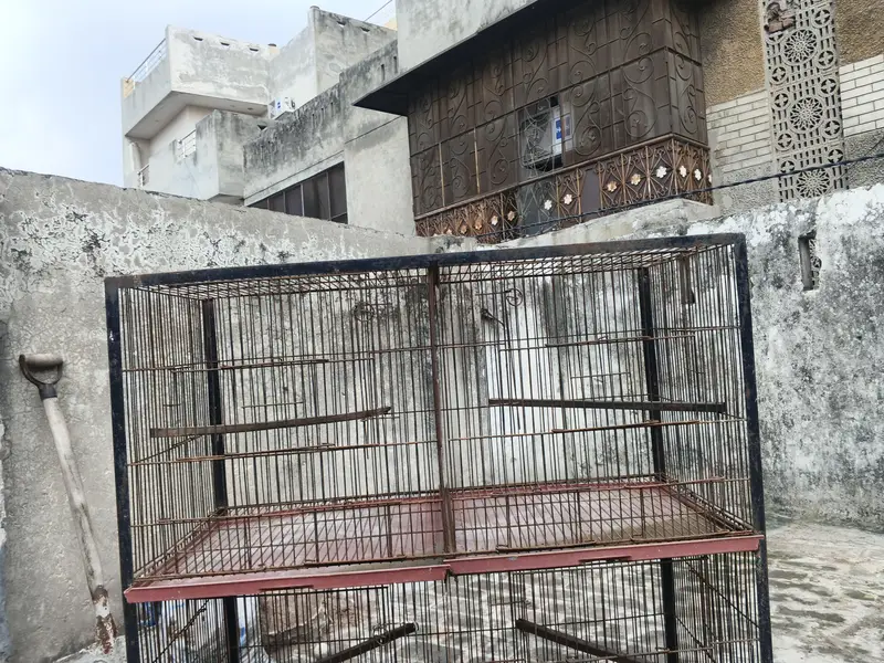 Cages for sale — photo 11