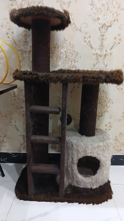CAT HOUSE