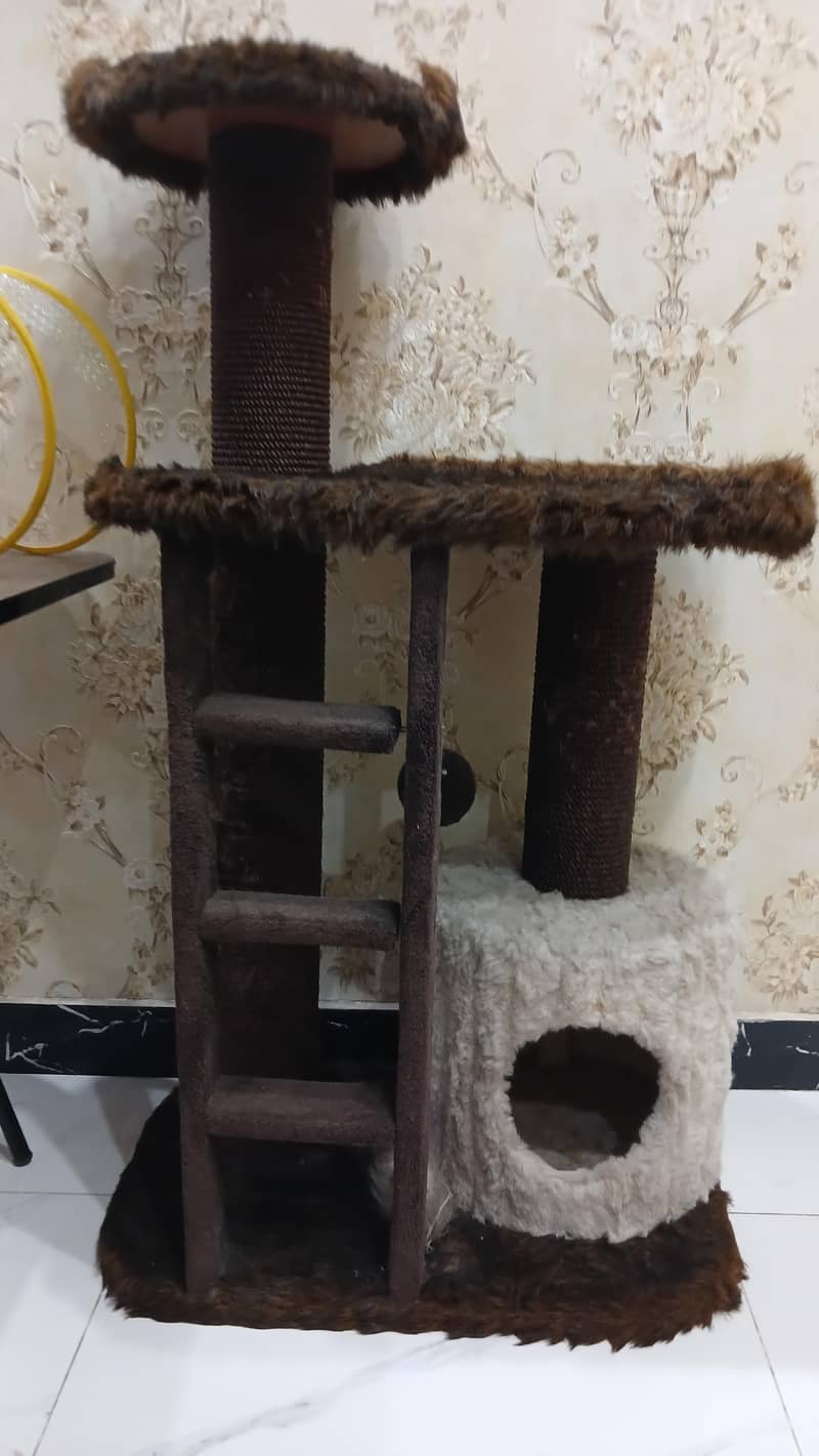 CAT HOUSE 0