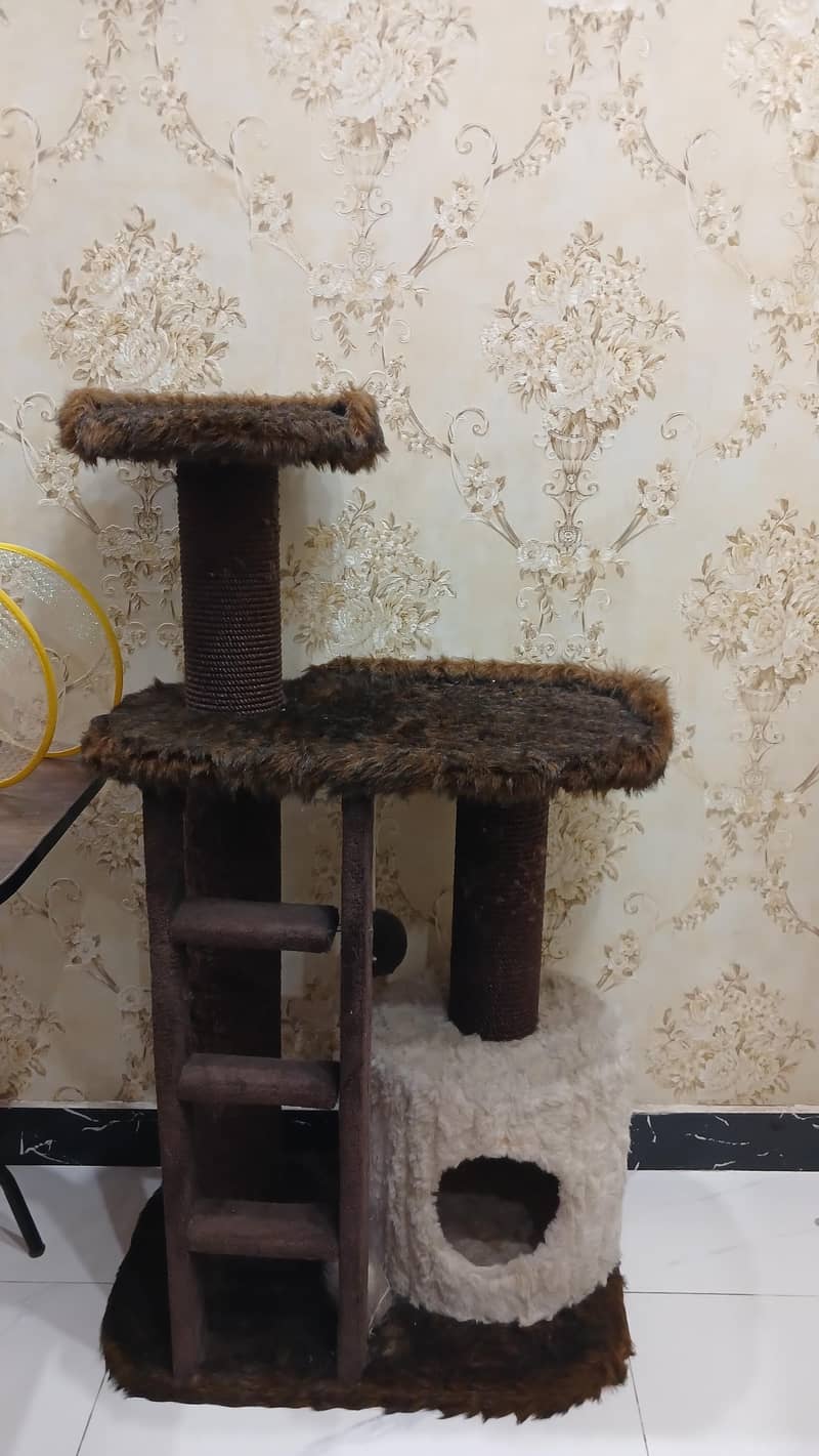 CAT HOUSE 2