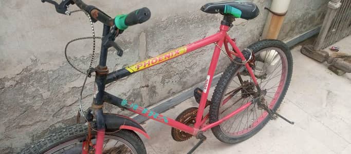 phoenix gear wali cycle