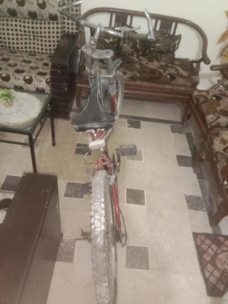 TPT BIKES  CYCLE 5