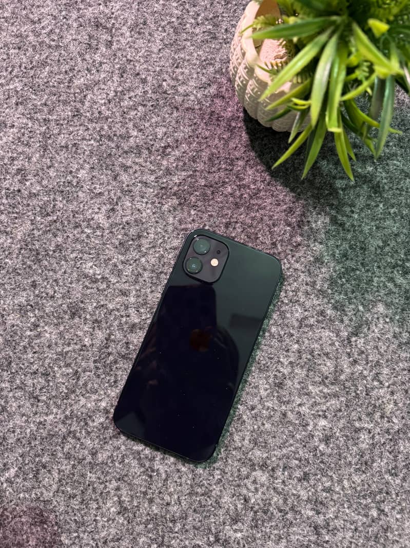 Apple iPhone 12 0