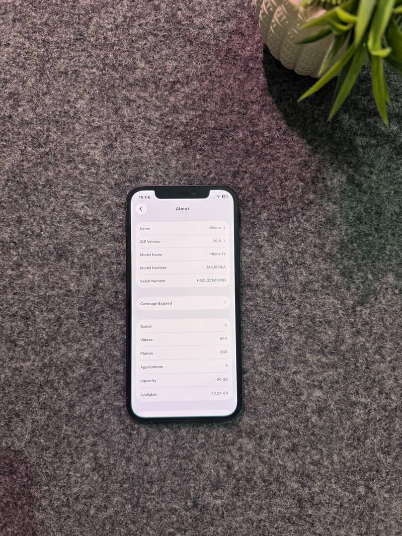 Apple iPhone 12 1