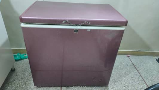 PEL freezer