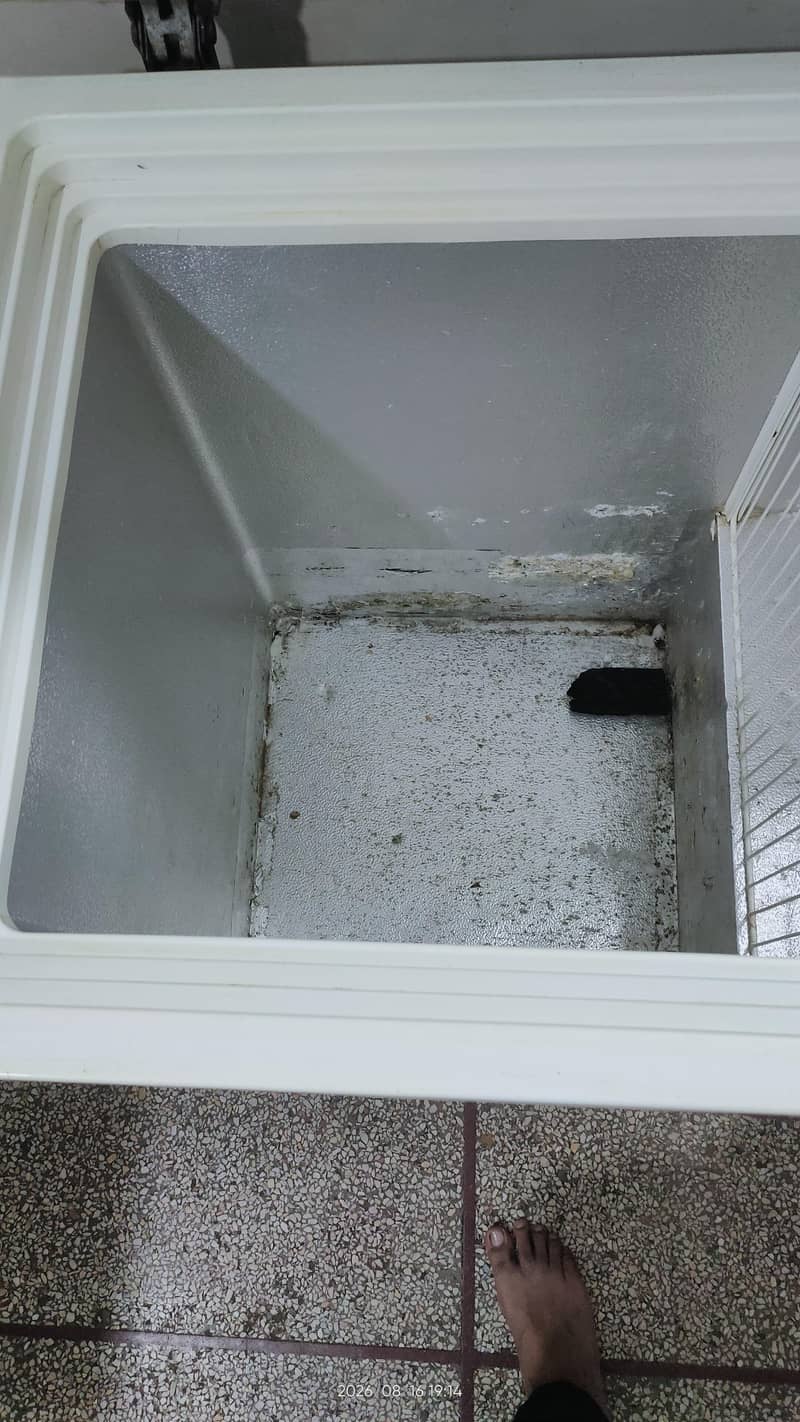 PEL freezer 4
