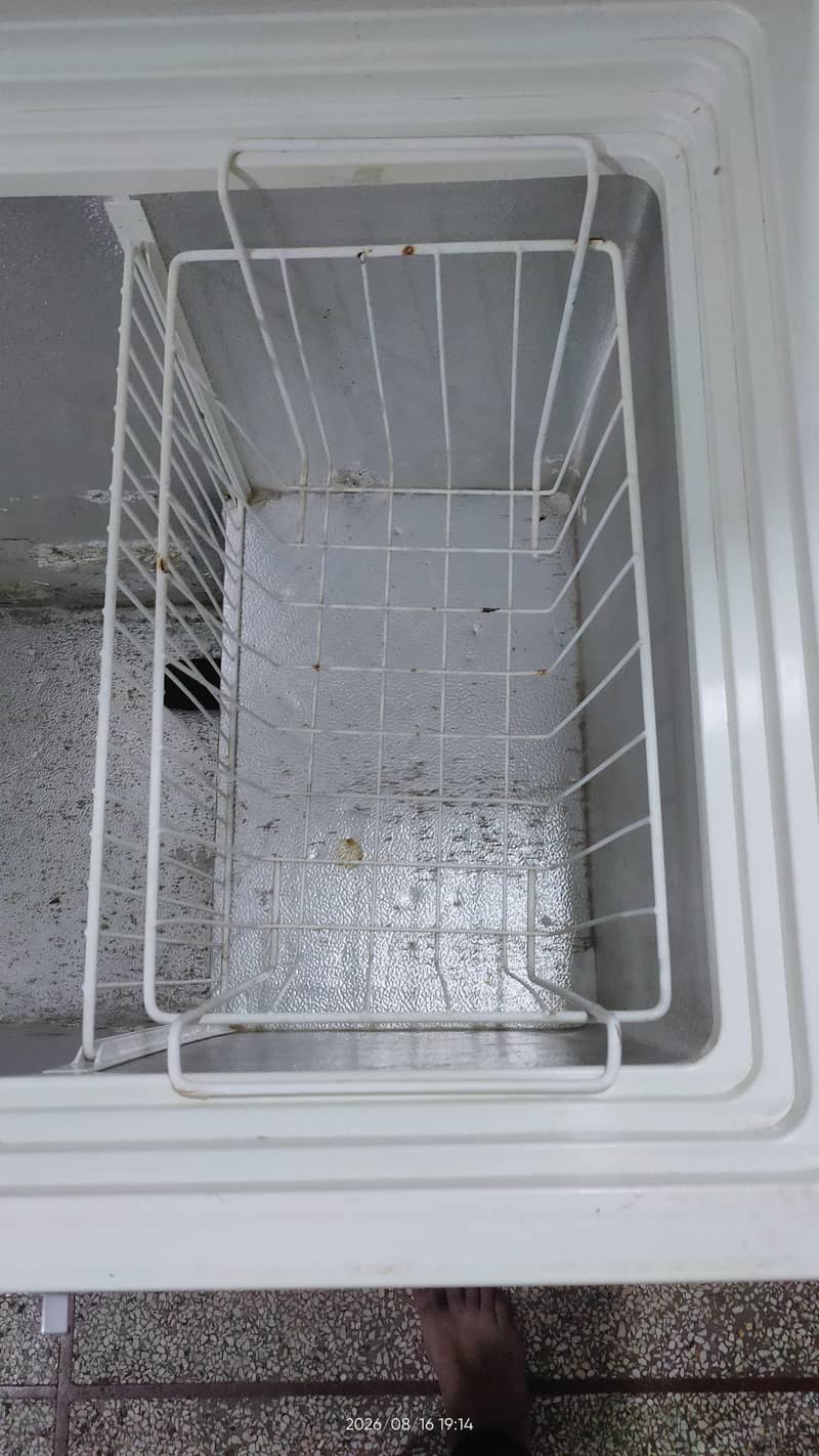 PEL freezer 5