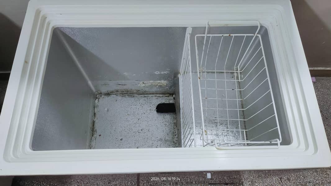 PEL freezer 6