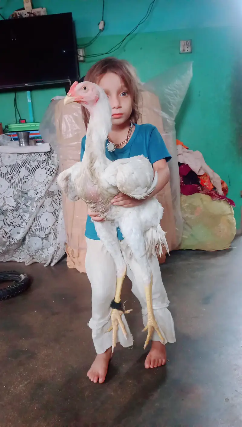 king white shamoo phatha — photo 2