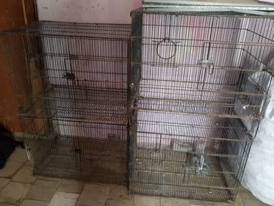 Birds cages Box Option