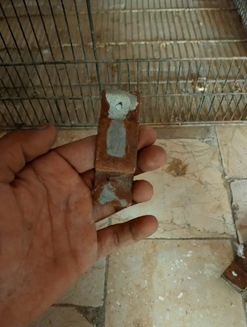 Birds cages Box Option — photo 4