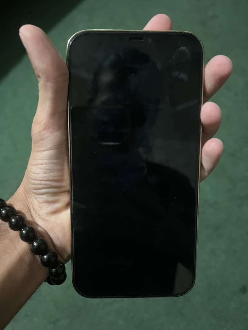 Apple iPhone 12 Pro Max 2