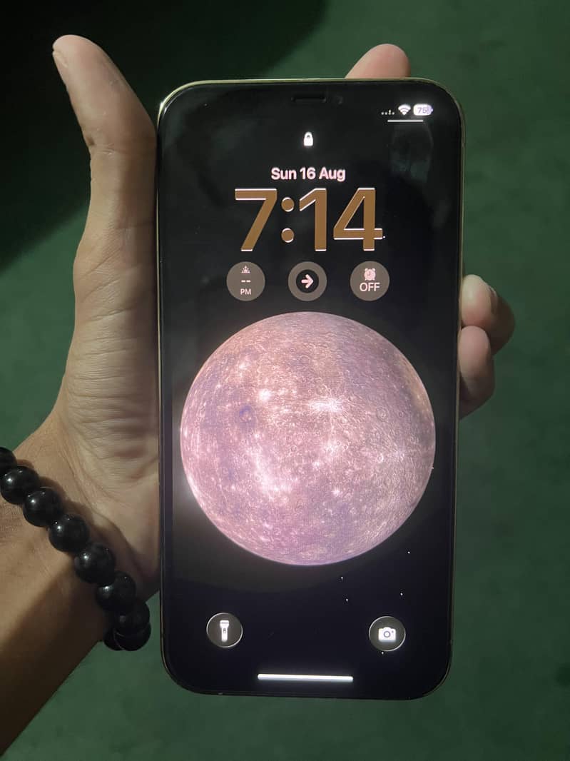 Apple iPhone 12 Pro Max 3