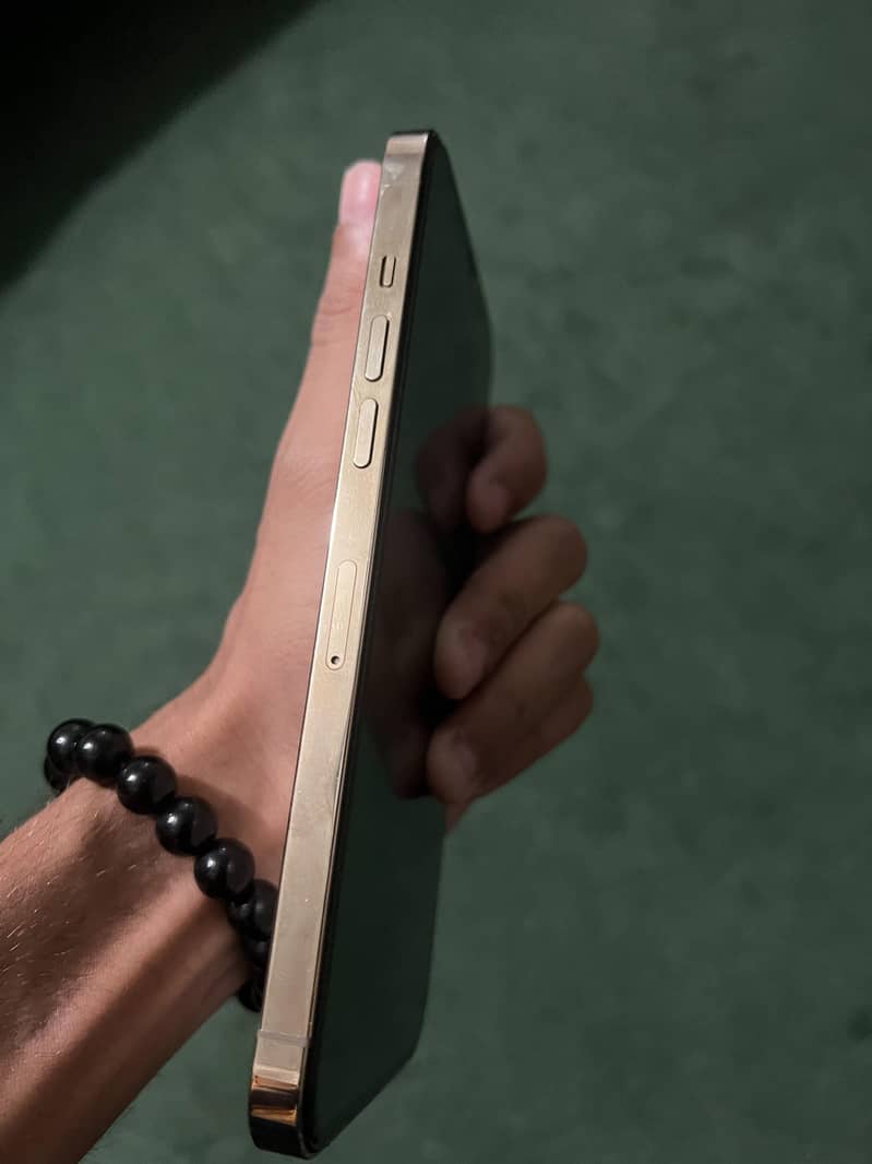 Apple iPhone 12 Pro Max 5