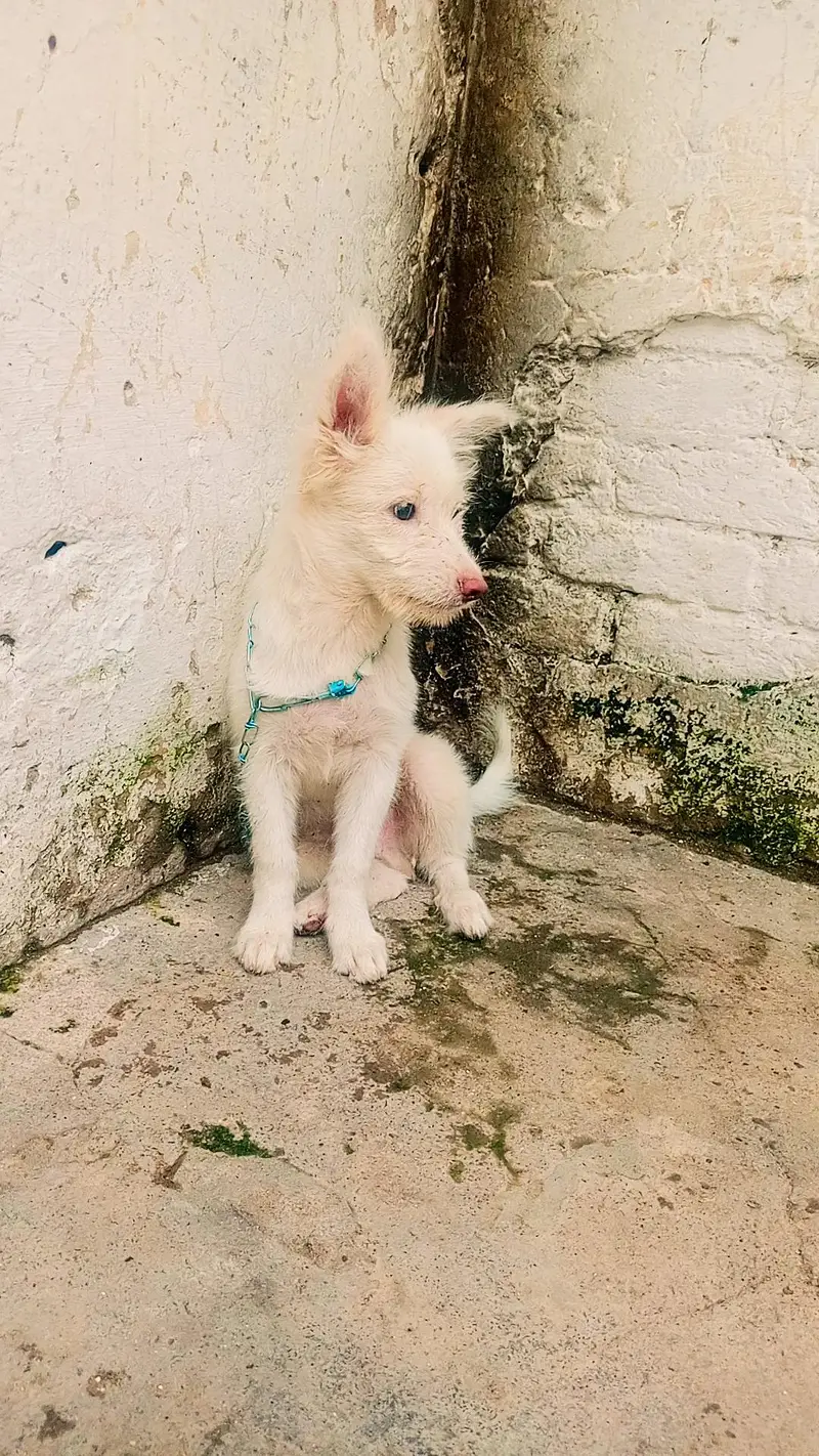 2 male baby — photo 2