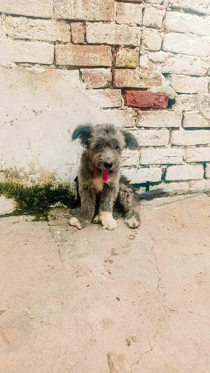 2 male baby — photo 3