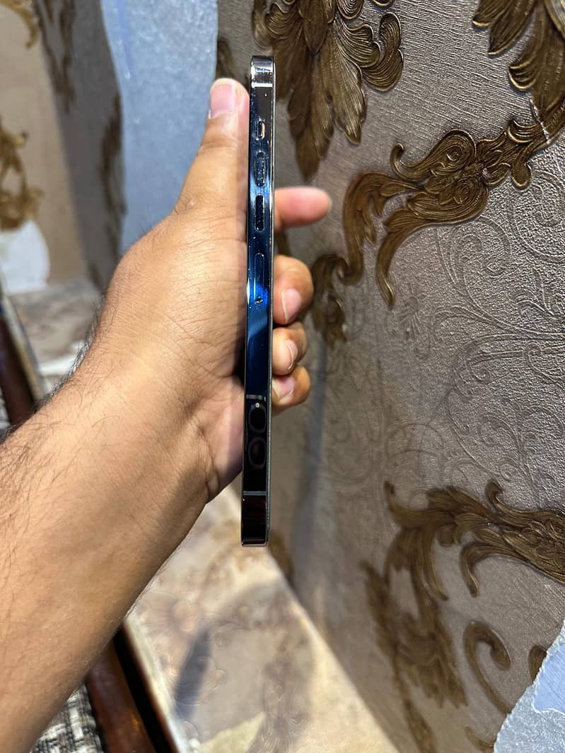 Apple iPhone 13 Pro Max 1