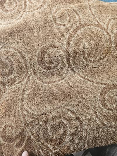 Full room floor carpet
