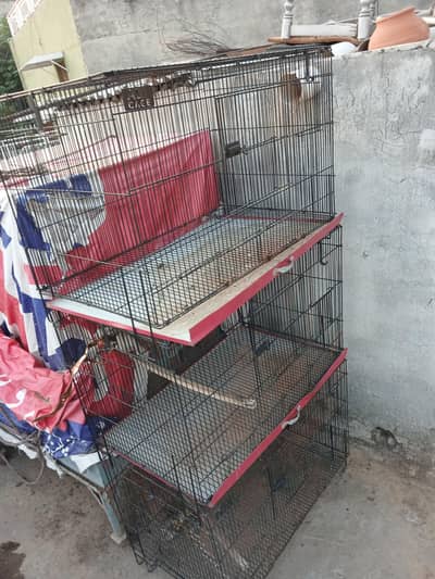 new cage