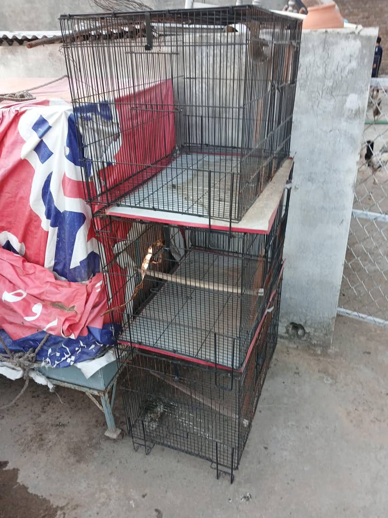new cage 1