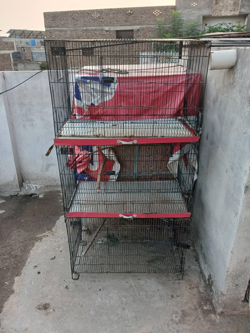 new cage 2