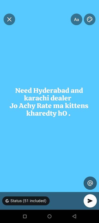 PERSIAN KITTENS IN HYD OR KRACHI.