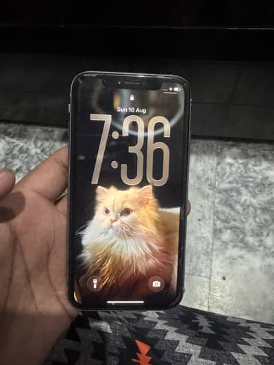 Apple iPhone 11 JV 64 GB