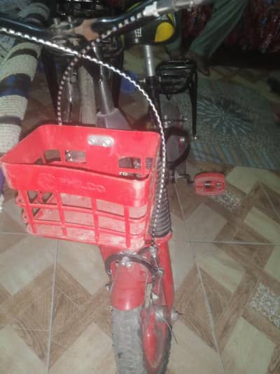 cycle bacchon ki