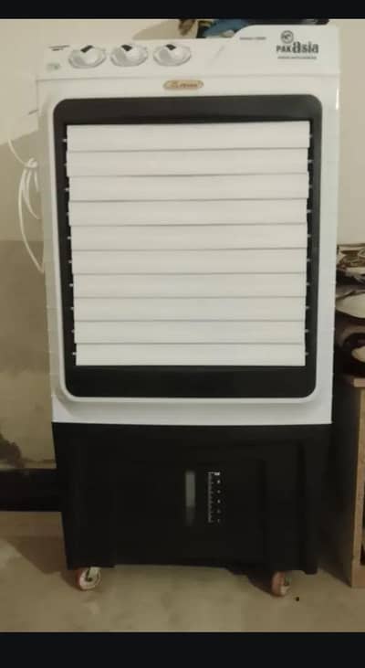 pak Asia air cooler ice
