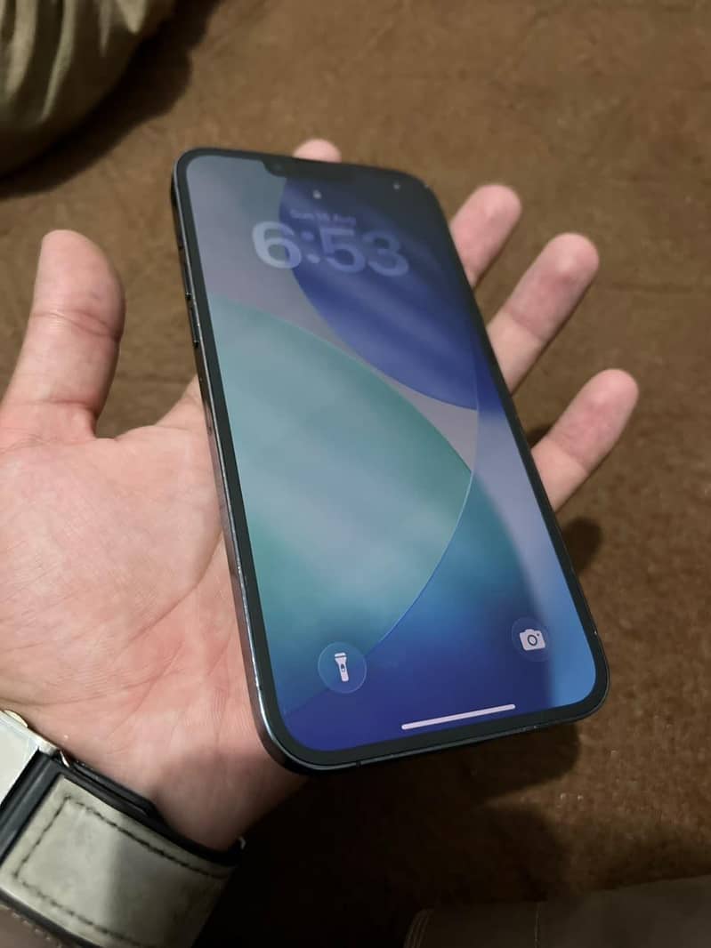 Apple iPhone 13 Pro Max 1