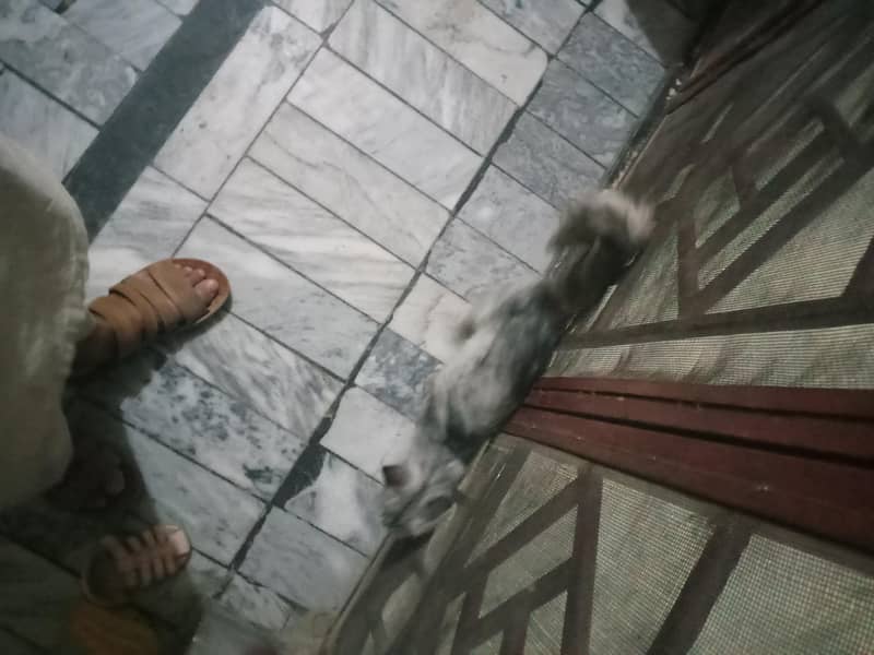 catch 0
