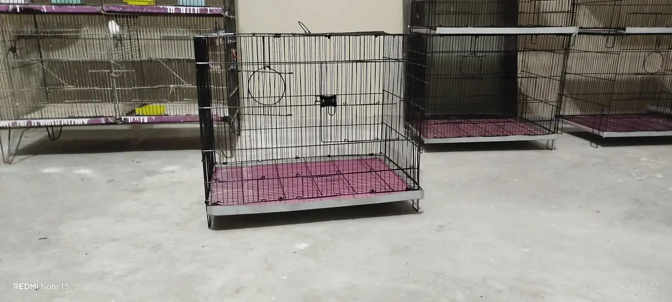 cages (pinjray) — photo 2