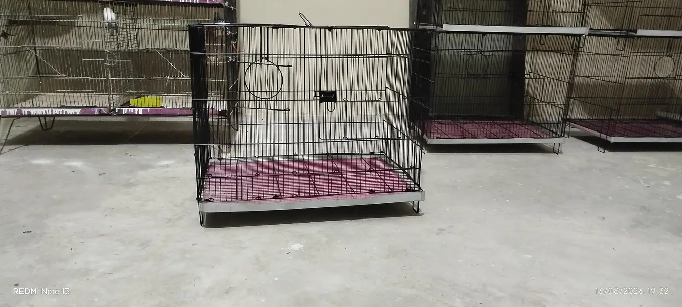 cages (pinjray) — photo 3