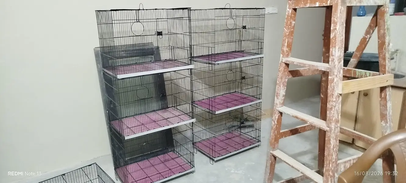cages (pinjray) — photo 4