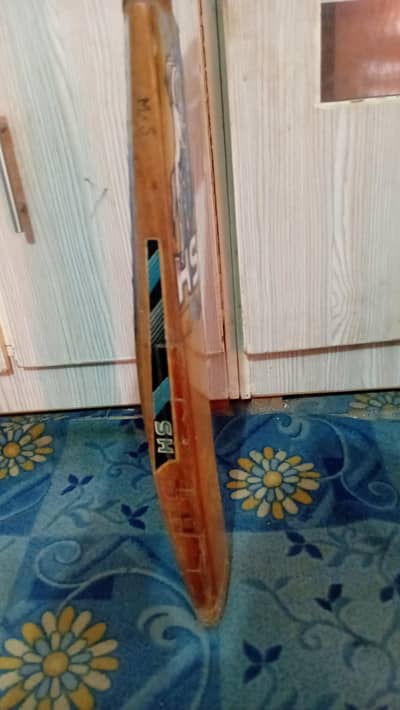 Englishwillow HS bat