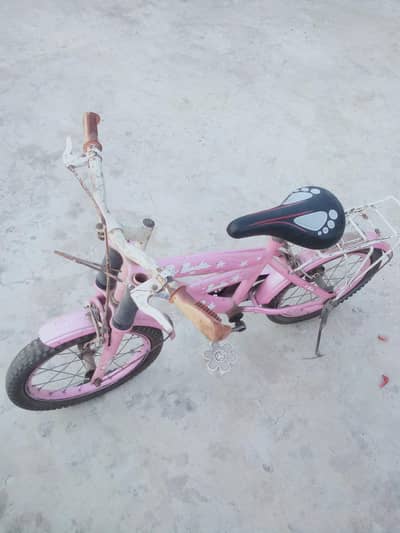 Barbi Bicycle