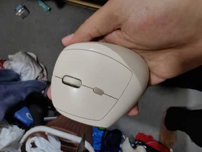 Rapoo & B. O. W Wireless Mouse For Sale