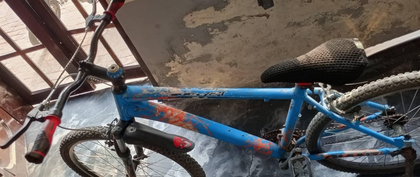 Bicycle 1