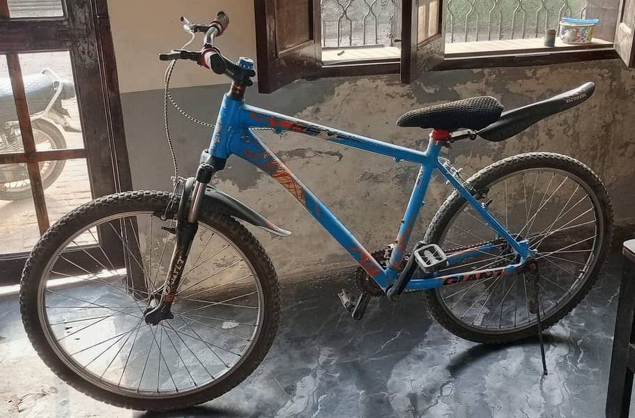 Bicycle 2