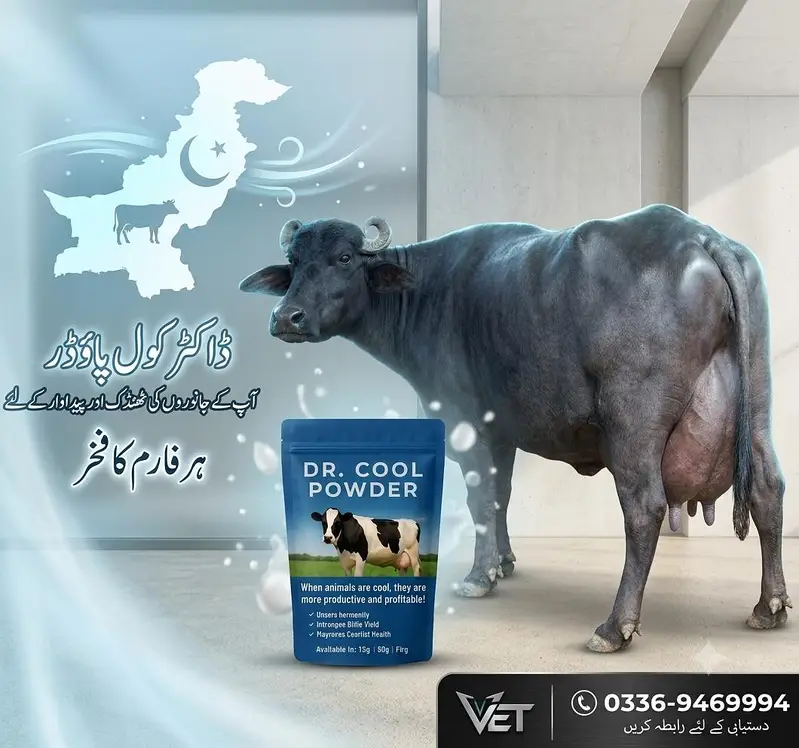 Doctor Cool Powder — photo 2