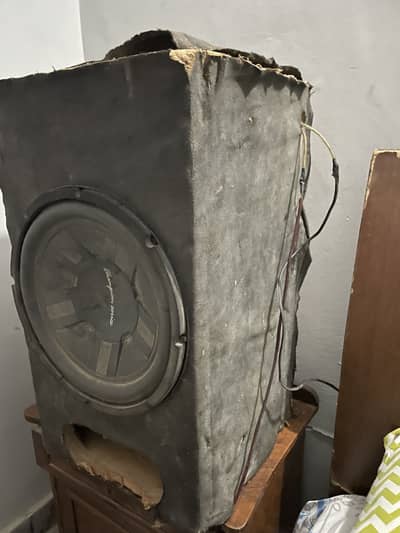 Pioneer champion and alpine amp