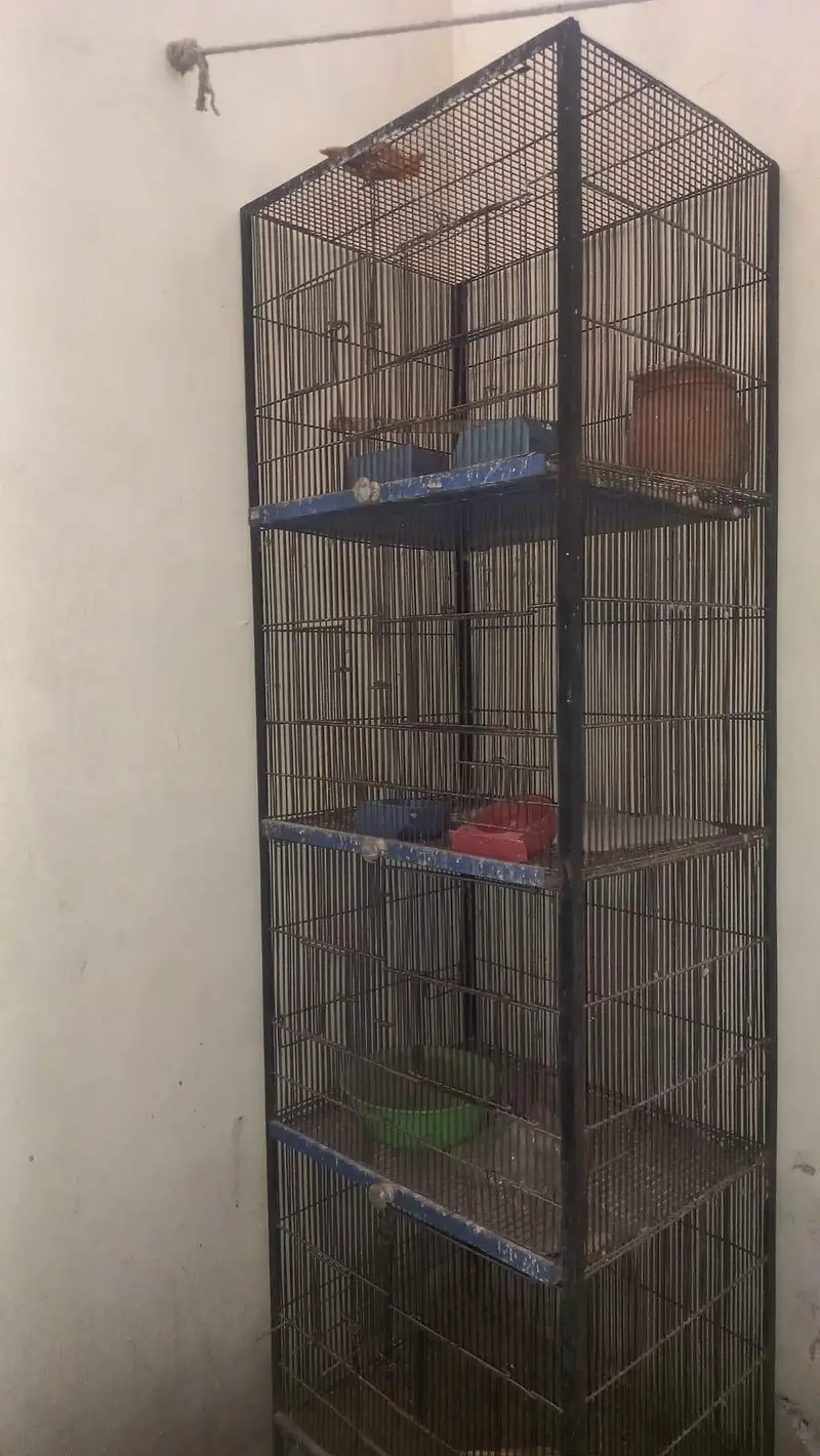 Heavy Iron Four Portion Cage — photo 2